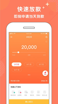 金菠萝(图3) 金菠萝(图3)