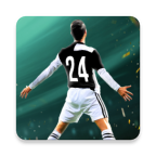 Soccer Cup 2024(Free Shopping)