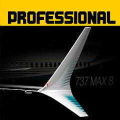 Flight 737 MAXIMUM